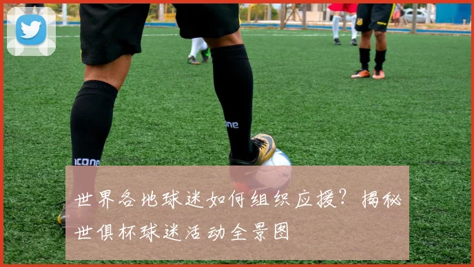 世界各地球迷如何组织应援?揭秘世俱杯球迷活动全景图