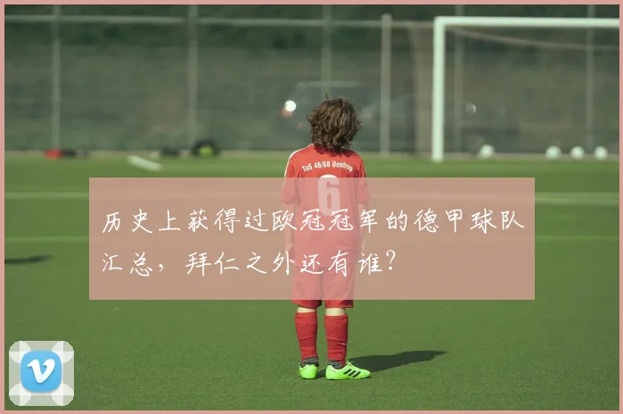 历史上获得过欧冠冠军的德甲球队汇总，拜仁之外还有谁？