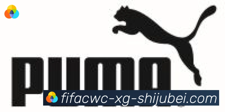 世界杯直播合作伙伴