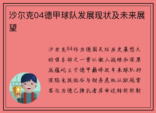 沙尔克04德甲球队发展现状及未来展望
