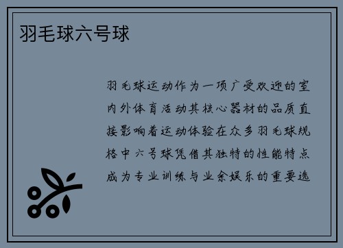 羽毛球六号球